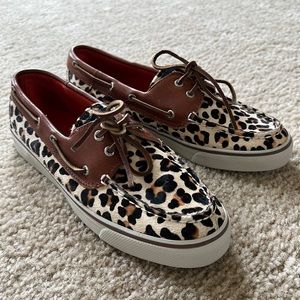 Leopard Sperry’s
